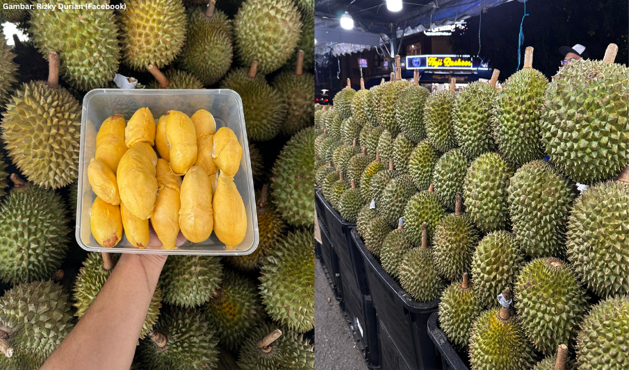 JZ Blog Featured Image (6)